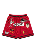LOONEY TUNES EMBROIDERED PATCH-1071 (RED)
