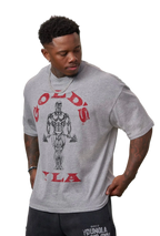 GOLD’S IRON LEGACY ICON TEES-4213 (HEATHER GREY)
