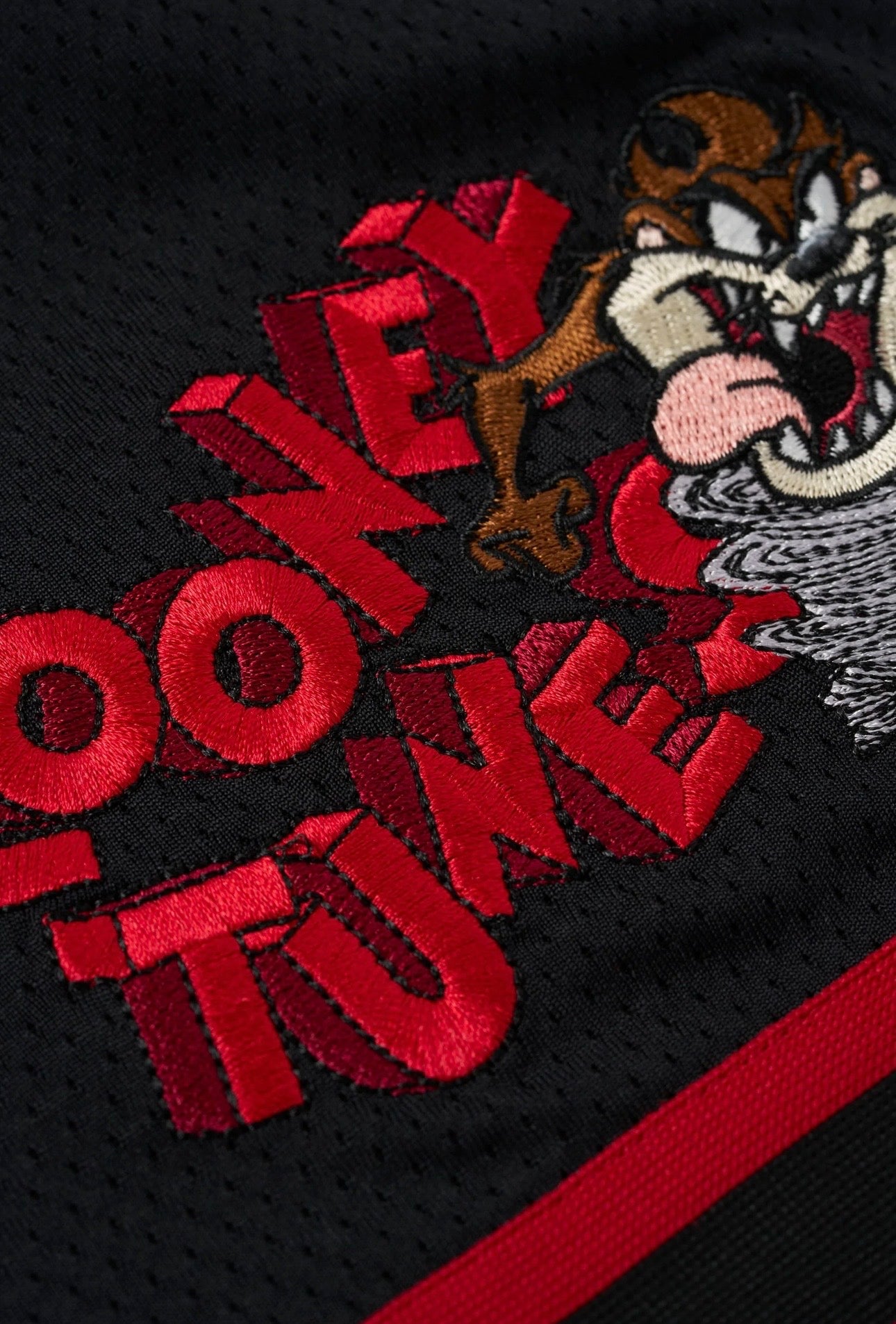 LOONEY TUNES EMBROIDERED PATCH-1071 (BLACK)